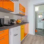 Colorpop * בודפשט